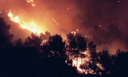 Quelque 900 hectares de pinÚdes et de végétation ont été ravagés dans l'Aude par un incendie qui continue de progresser sans menacer d'habitations et qui n'a fait depuis mercredi aucune victime