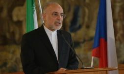 Le chef de l'Organisation iranienne de l'énergie atomique (OIEA) Ali Akbar Salehi le 2 mai 2016 à Prague