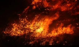 Les flammes de l'incendie qui ravage Moreno Valley, en Californie, le 15 juillet 2023