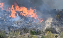 Des pompiers de l'Infoca (service de lutte contre les incendies de forĂȘt d'Andalousie) s'emploient Ă Ă©teindre un incendie sur les lieux d'un feu de forĂȘt ayant causĂ© la mort de 11 personnes prĂšs de Bedar, dans le district de Los Gallardos (province d'AlmerĂa), le 10 juillet 2026
