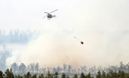 Un hélicoptère bombardier d'eau survole un massif forestier en feu à Korskrogen, en Suède, le 25 juillet 2018.
