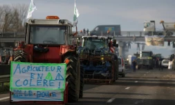 Des agriculteurs bloquent l'autoroute A64 pour protester contre la fiscalité et la baisse des revenus, près de Carbonne, au sud de Toulouse, le 22 janvier 2024