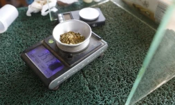 Un commerçant pèse sur une balance numérique l'or en poudre d'un client dans la ville minière d'El Dorado, dans l'Etat de Bolivar, le 24 mai 2025 au Venezuela