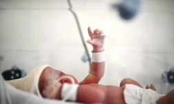 Le nombre de naissances a reculé de 7% sur les huit premiers mois de l'année, aprÚs avoir atteint déjà en 2022 son plus bas niveau depuis la fin de la Seconde Guerre mondiale