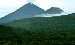 La forĂȘt dans la rĂ©gion congolaise du Nord-Kivu