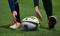 Rugby