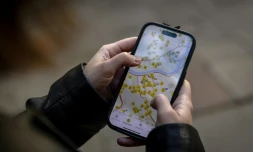 Ruta Gaskauskaite présente sur son téléphone une application qui permet aux utilisateurs de trouver les abris les plus proches, à Vilnius, le 28 mai 2026, en Lituanie