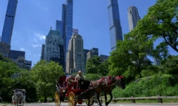 Une calèche dans Central Park, le 3 août 2022 à New York