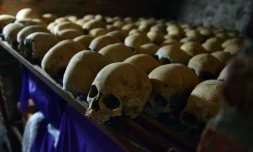 Des crĂąnes de victimes du gĂ©nocide rwandais exposĂ©s le 4 avril 2014 au mĂ©morial du gĂ©nocide Ă Nyamata, au Rwanda, dans une Ă©glise catholique oĂč de milliers de personnes furent assassinĂ©es