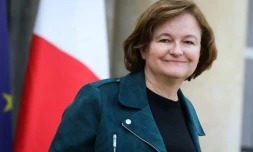 La ministre des Affaires européennes Nathalie Loiseau, le 30 janvier 2019 à l'Elysée, à Paris