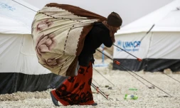 Une Syrienne ayant fui la ville de Deir Ezzor, le 1er février 2017 dans le camp al-Hol en Syrie