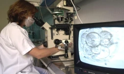 Le Conseil d'Etat s'est déclaré en faveur de la requête d'une jeune femme, désireuse d'avoir un enfant de son mari décédé