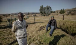 Un fermier Basotho, près du village de Maseru au Lesotho, le 4 juin 2017