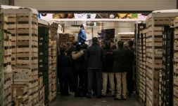 Le président Hollande s'adresse à l'assistance lors de l'inauguration de la halle bio de Rungis, le 9 mai 2016