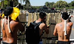 Des indigènes s'abritent derrière une palissade de bambou, face à des policiers, lors d'une manifestation devant le Parlement brésilien à Brasilia, le 22 juin 2021