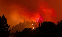 L'incendie de Bald Range ravage le sud de la Colombie-Britannique, dans l'ouest du Canada (photo prise le 7 août 2026 et diffusée le 8 par le Service des incendies de forêt de la province)