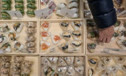 Différentes sortes de boulettes de riz onigiri sur un étal de l'entreprise Taro Tokyo Onigiri, le 6 décembre 2023 à Tokyo