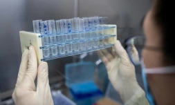 Des chercheurs  travaillent sur un vaccin le 29 avril 2020 dans un laboratoire à Pékin