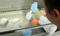 Des chercheurs travaillent sur le virus du SIDA dans une université de Philadelphie (Etats-Unis), le 31 juillet 2014