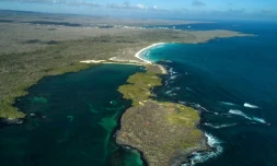 Vue aérienne de Tortuga Bay, dans l'ßle de Santa Cruz, le 21 janvier 2018 aux Galapagos
