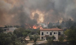 Le feu à Afidnes, 30 km au nord d'Athènes, le 6 août 2021