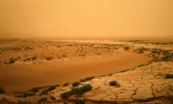 Des terres arides après une tempête de sable dans les environs de Tabqa, le 2 juin 2022 ddans le nord-est de la Syrie