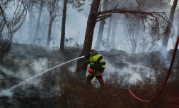 Un pompier tente d'éteindre un incendie dans une forêt de Port-de-Bouc commune voisine de Marseille (Bouches-du-Rhône), le 10 août 2017