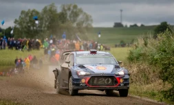 Le pilote belge Thierry Neuville au volant de sa Hyundai i20, lors du Rallye de Pologne, le 2 juillet 2017 à Paprotki