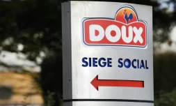 Le groupe français LDC propose de reprendre prÚs de 300 salariés sur 1.200 du volailler Doux en difficulté