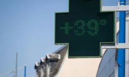 Un thermomètre de pharmacie indique une température de 39° C, le 4 août 2022 à Wittenheim, dans l'est de la France