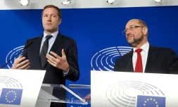 Le chef du gouvernement wallon, Paul Magnette (G) et le président du parlement européen Martin Schulz lors d'une conférence de presse, le 22 octobre 2016 à Bruxelles 
