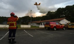Un avion bombardier d'eau canadair de la SecuritĂ© civile survole la forĂȘt de Chiberta Ă Anglet dans les PyrĂ©nĂ©es-Atlantiques, le 30 juillet 2020