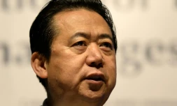 Photo prise le 4 juillet 2017 à Singapour du président chinois d'Interpol Meng Hongwei porté disparu