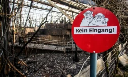Un panneau portant les mots "Entrée interdite", à l'entrée de l'enclos des singes du zoo de Krefeld en Allemagne, détruit par un incendie dans la nuit du 1er janvier 2020