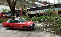 Un taxi endommagé par la chute d'un arbre après le passage du typhon Mangkhut, le 17 septembre 2018 à Hong Kong