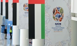 Des affiches du congrès de l'Union internationale pour la conservation de la nature (UICN), le 8 octobre 2025 à Abou Dhabi, aux Emirats arabes unis