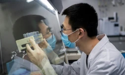 Un chercheur travaille sur un vaccin expérimental contre le nouveau coronavirus dans un laboratoire de contrôle qualité de Sinovac Biotech, à Pékin le 29 avril 2020