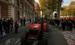 Des agriculteurs participent à une manifestation organisée par le syndicat Jeunes Agriculteurs (JA) devant la préfecture des Pyrénées-Orientales à Perpignan, le 26 novembre 2024