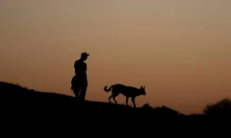 D'oĂč viennent les chiens et depuis quand accompagnent-ils l'ĂȘtre humain ? De nouvelles Ă©tudes Ă©tablissent leur prĂ©sence en Europe il y a prĂšs de 16.000 ans, soit 5.000 ans plus tĂŽt que ce que les prĂ©cĂ©dentes recherches Ă©valuaient