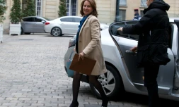 La ministre de l'Ecologie et de l'Energie, SégolÚne Royal, à son arrivée à Matignon le 18 février 2016 à Paris