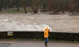 Un passant sur les berges de l'Hérault, qui a débordé suite aux fortes pluies à Laroque, le 22 décembre 2025