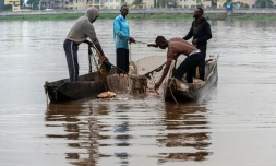 Des pĂȘcheurs rĂ©cupĂšrent des dĂ©chets plastiques pris dans l'un de leurs filets sur le fleuve Congo Ă Kinshasa, le 27 avril 2026 en RDC