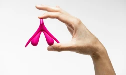 Un clitoris en trois dimensions, photographié le 2 octobre 2019 à Paris