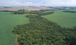 Vue aérienne de la réserve environnementale située dans une plantation de soja dans une ferme à Montividiu, commune de l'Etat de Goias, le 22 janvier 2024