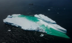 Un iceberg flotte prĂšs de Terre-Neuve, le 29 juin 2019.