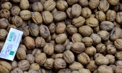 Des noix sur l'étal d'un supermarché bio à Saintes (France), le 23 octobre 2018