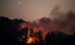Un feu de forêt sur l'île d'Eubée, le 10 août 2021 en Grèce