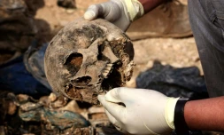 Des membres de la minorité yazidie en Irak cherchent des preuves pouvant leur permettre de retrouver des proches disparus ou tués par le groupe Etat islamique (EI), dans un charnier prÚs du village de Sinuni, dans la région de Sinjar (nord-ouest), le 3 février 2015