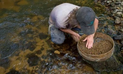 Accroupi dans l'eau, Nicolas Léger gratte inlassablement le lit inférieur du cours d'eau, à Issoire, le 27 mai 2017