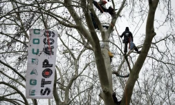 Des militants du GNSA (Groupe national de surveillance des arbres) perchés dans un arbre près d'une banderole "Courage, Stop A69" lors d'une manifestation contre la construction de l'autoroute A69, devant le tribunal administratif de Toulouse, le 17 février 2025 en haute-Garonne